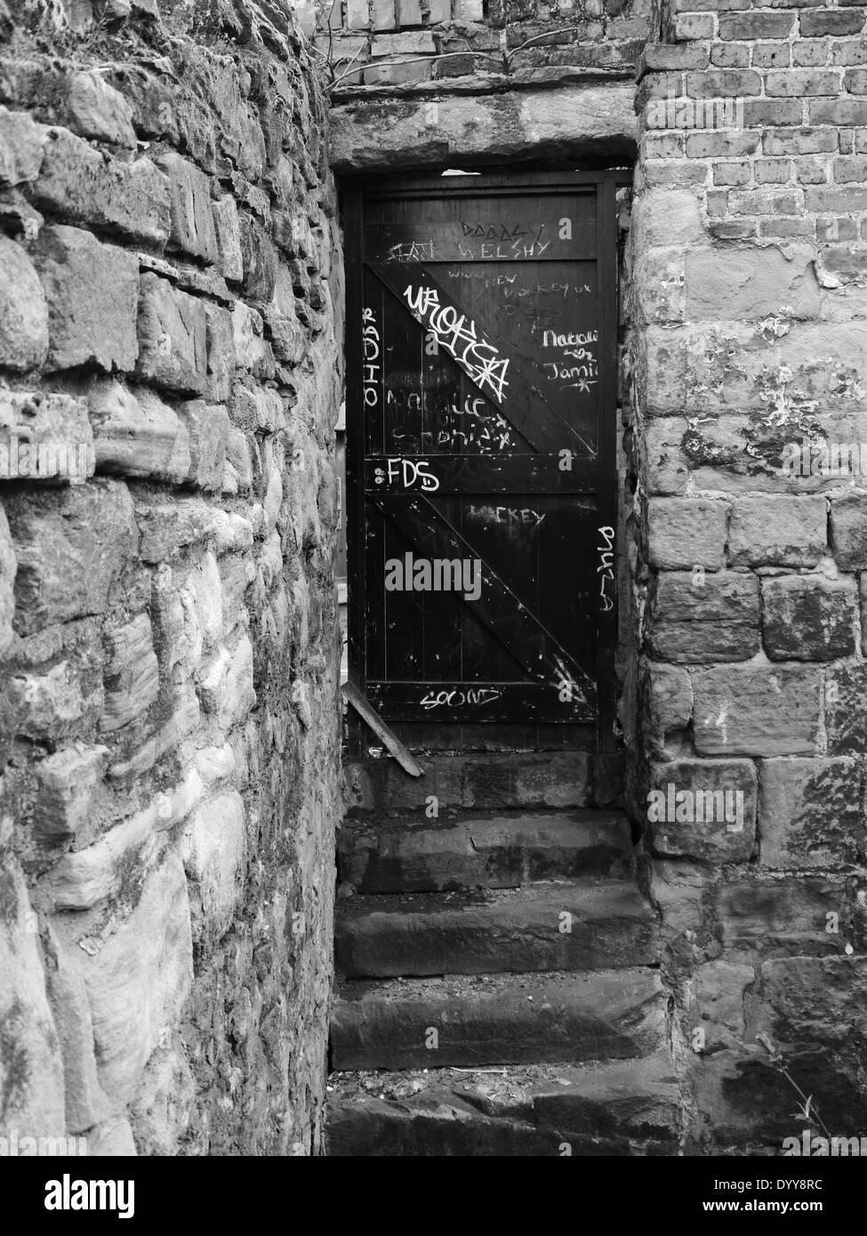 Abbandonata / run-down di gradini di pietra e portale con graffiti, nel cortile posteriore di locali commerciali. Monocromatico Foto Stock