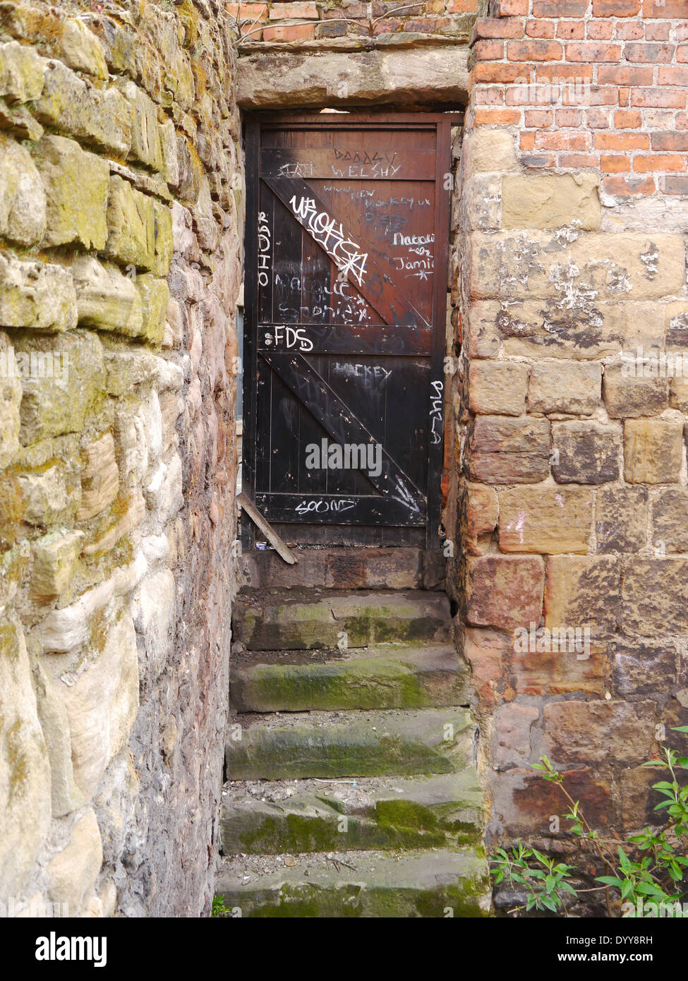 Abbandonata / run-down di gradini di pietra e portale con graffiti, nel cortile posteriore di locali commerciali. Foto Stock