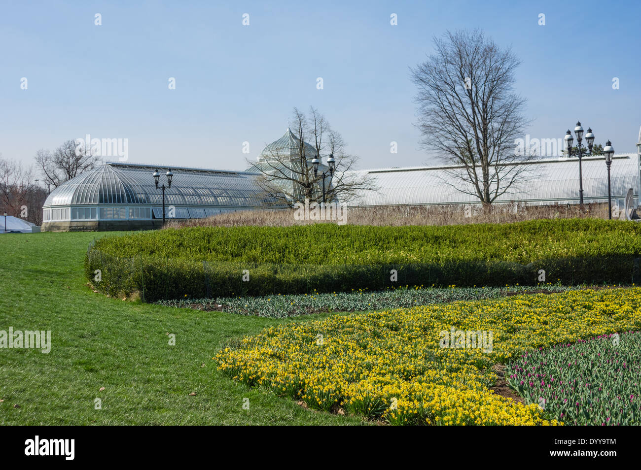 Tulip e daffodil letti in bloom fuori Phipps conservatorio. Pittsburgh, Pennsylvania Foto Stock