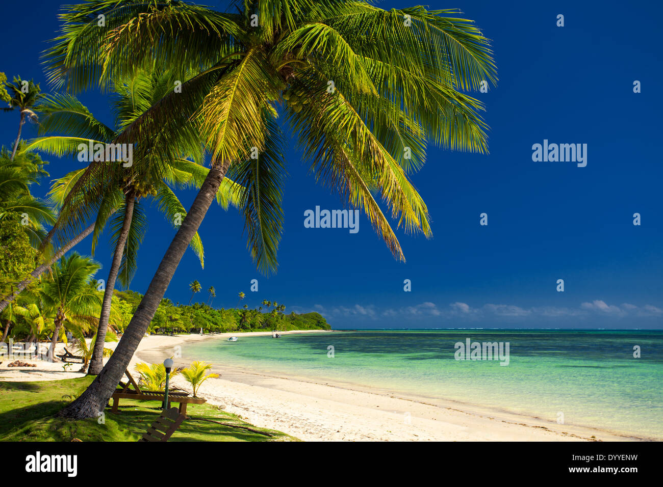 Palme e una spiaggia di sabbia bianca a isole Fiji Foto Stock