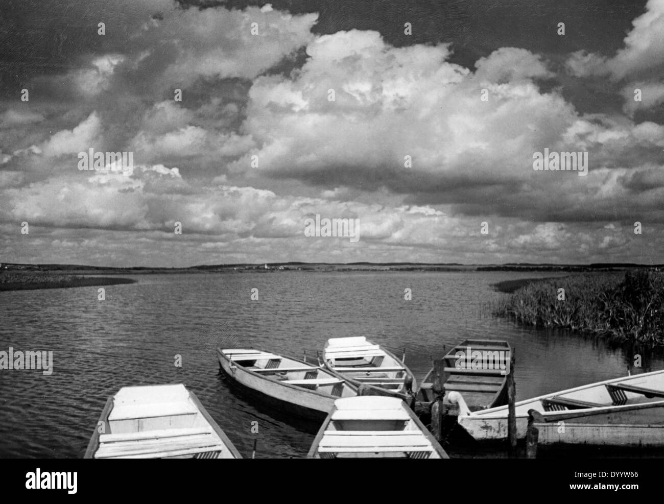 Il Federsee in Bad Buchau, 1937 Foto Stock