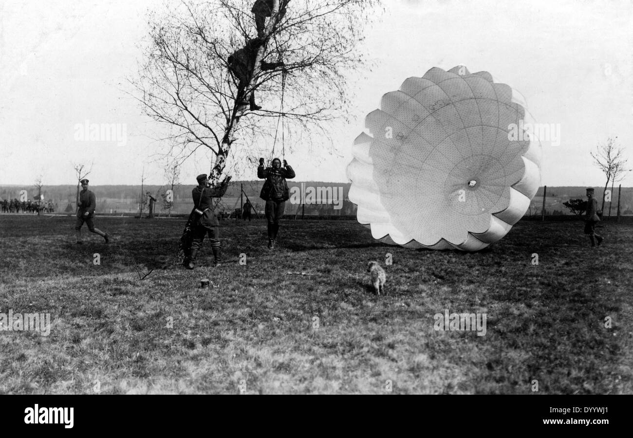 Parachutist in un albero, 1918 Foto Stock