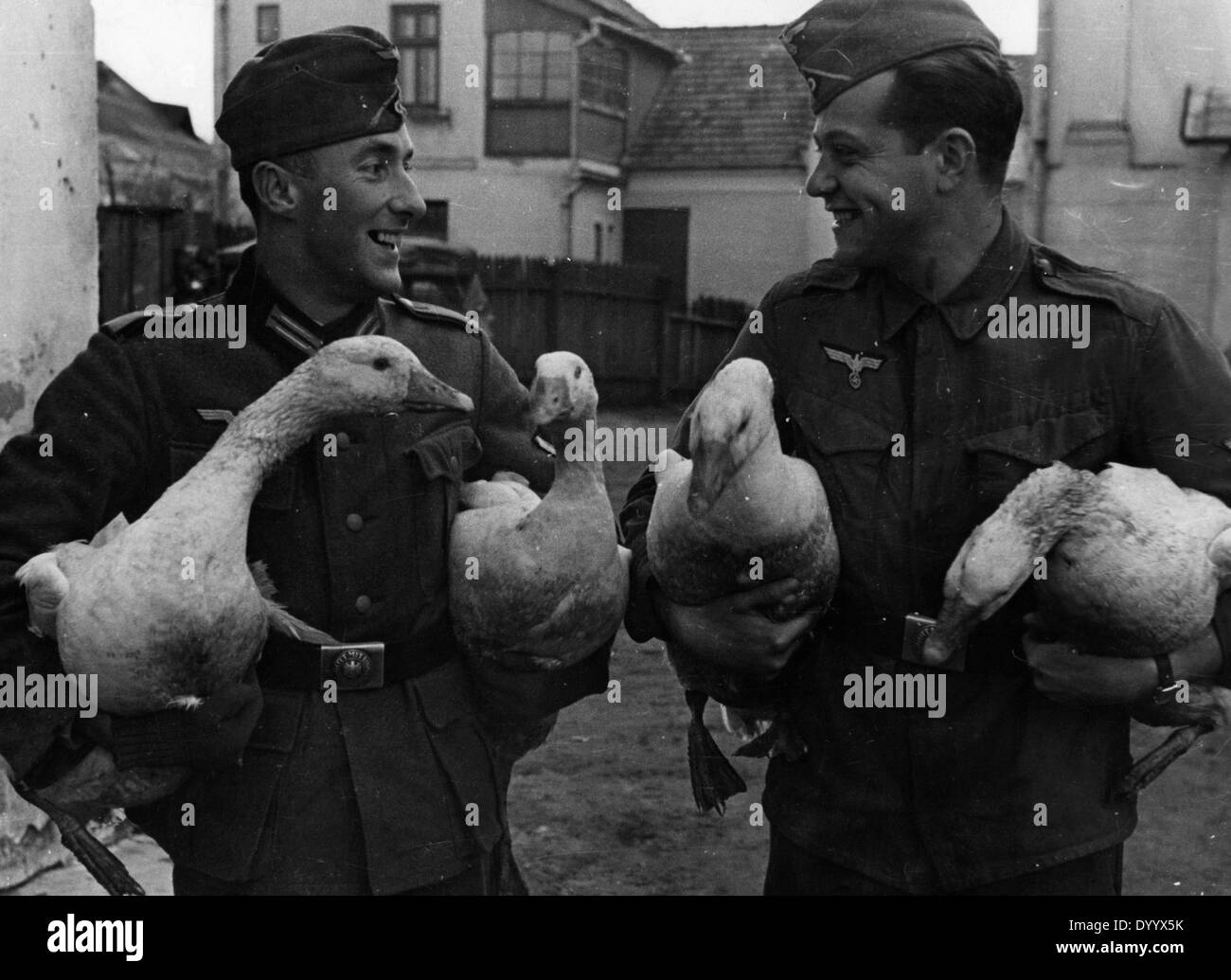 Inizio dell'attacco su 01.09.1939, i soldati tedeschi con oche quisitioned,1939 Foto Stock