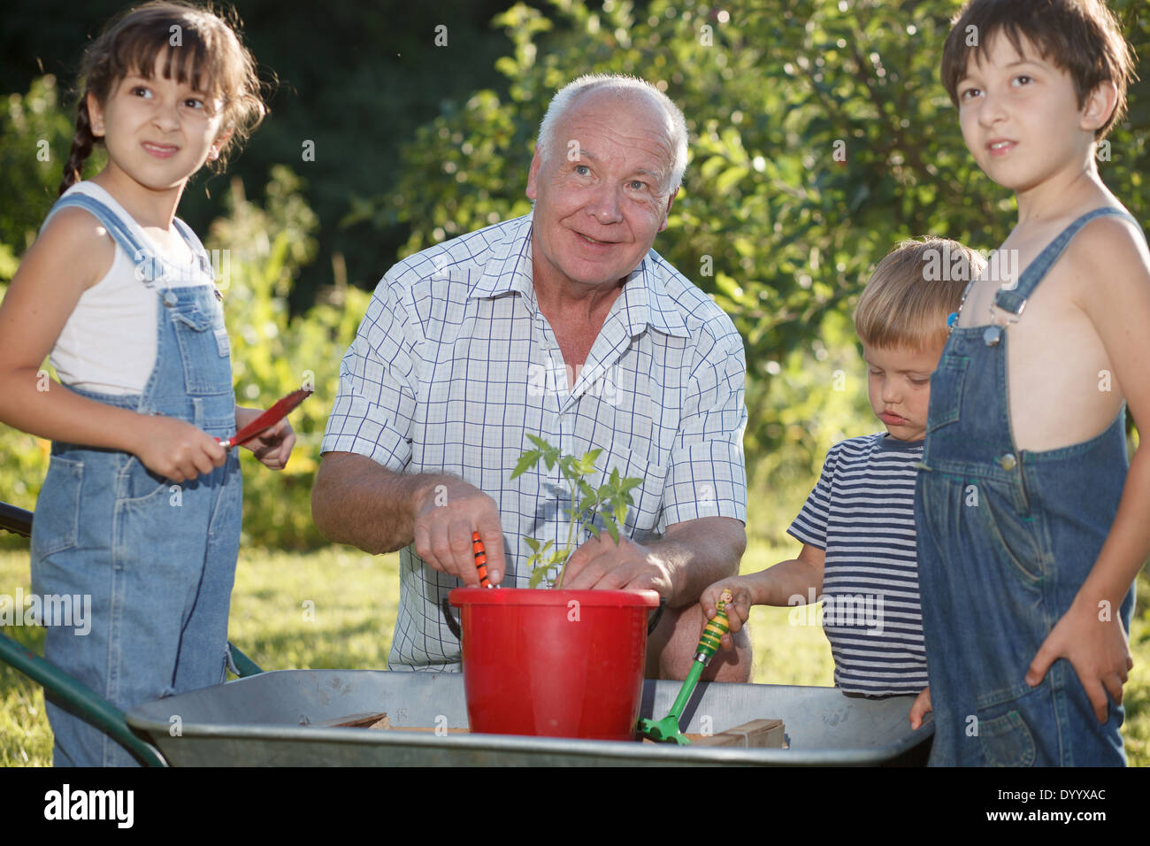 I bambini è aiutare il suo nonno in giardino Foto Stock