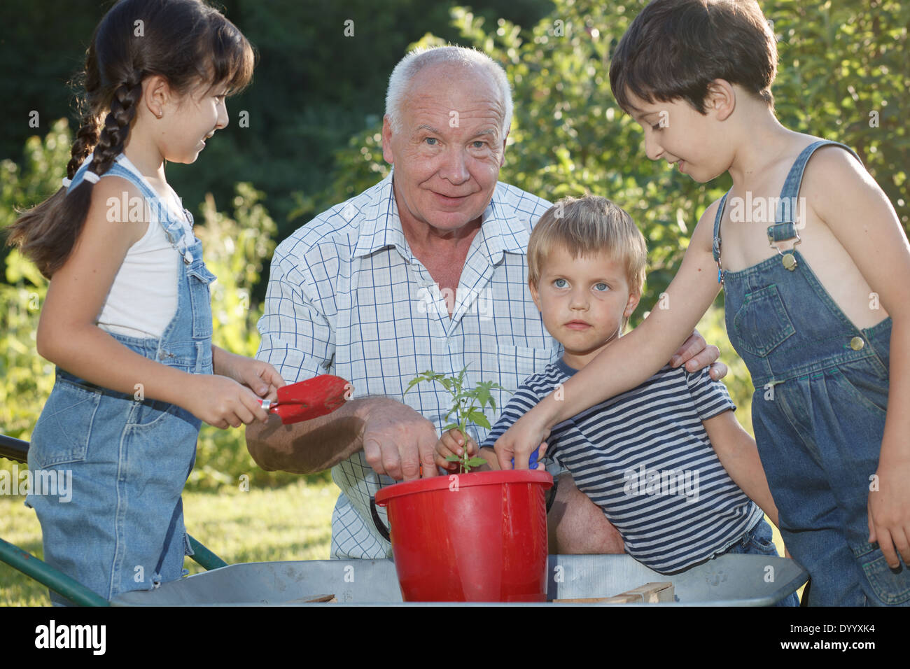 I bambini è aiutare il suo nonno in giardino Foto Stock