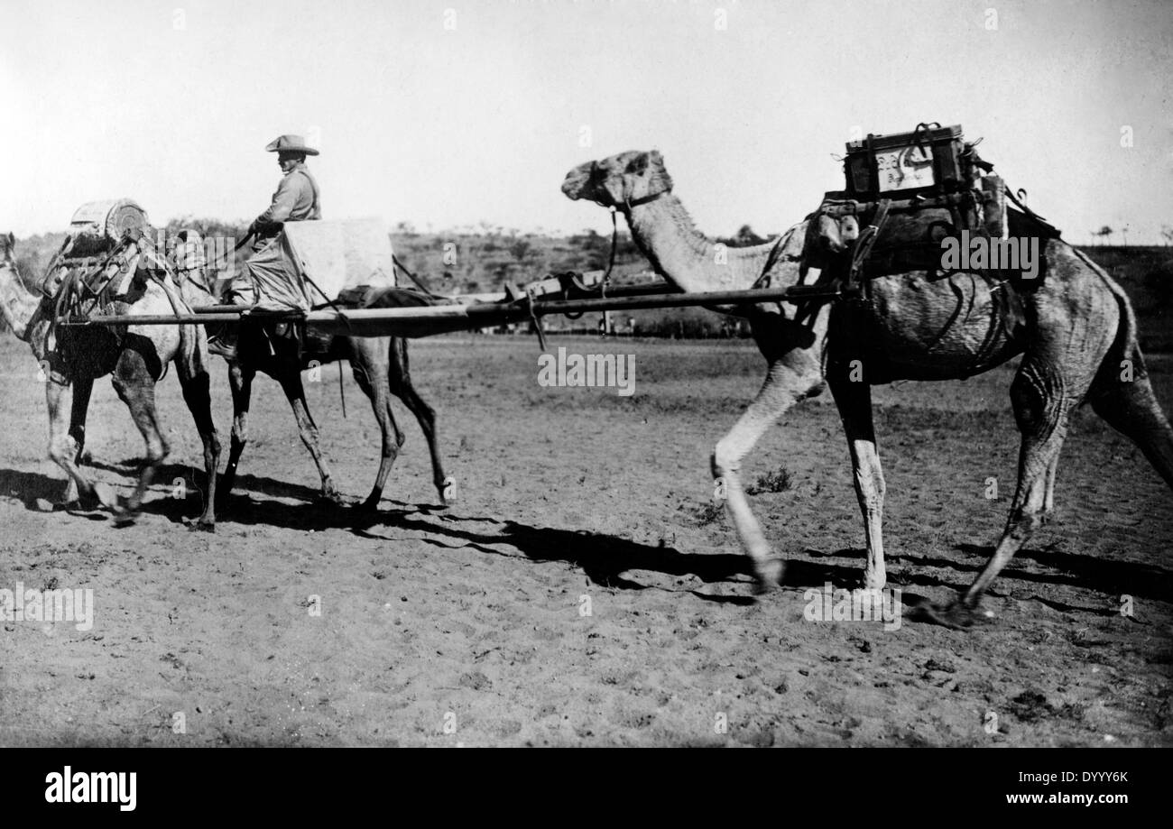 Un servizio di ambulanza in tedesco Africa del sud-ovest nella Prima Guerra Mondiale Foto Stock