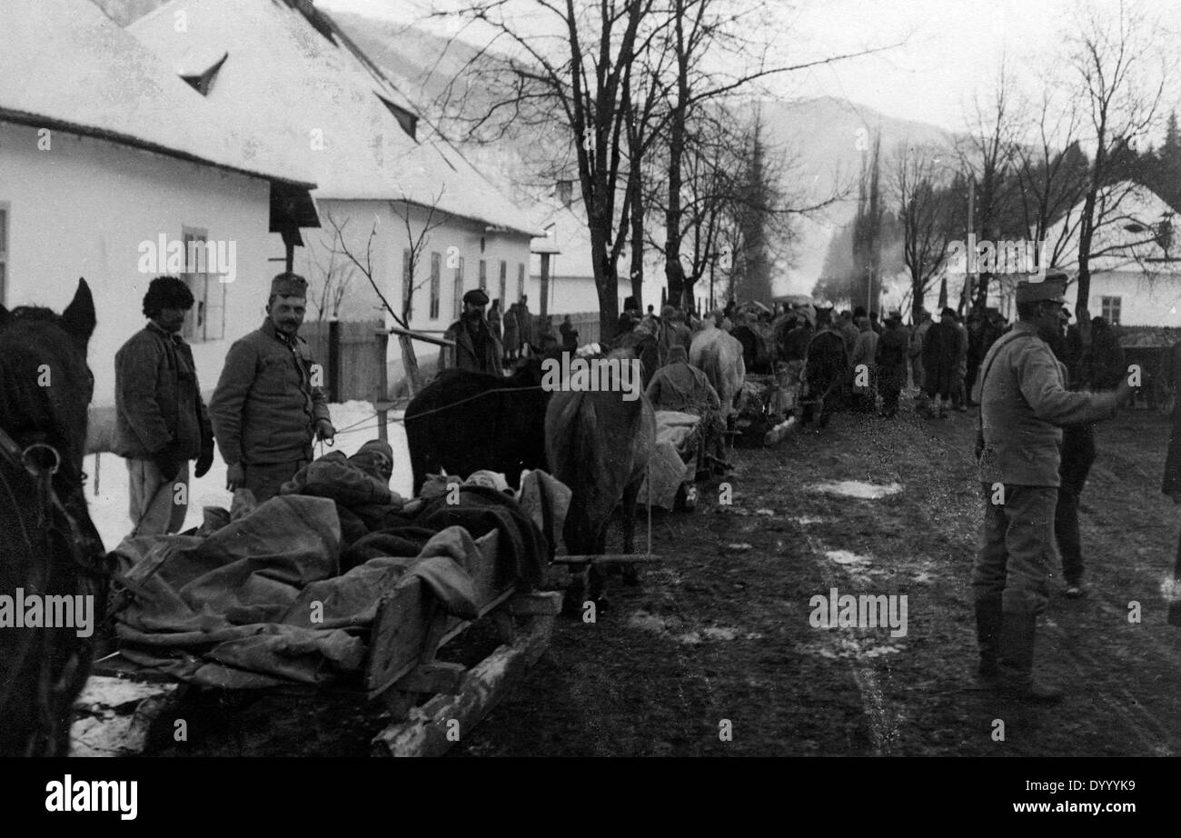 Feriti austriaci in Bucovina, 1915 Foto Stock