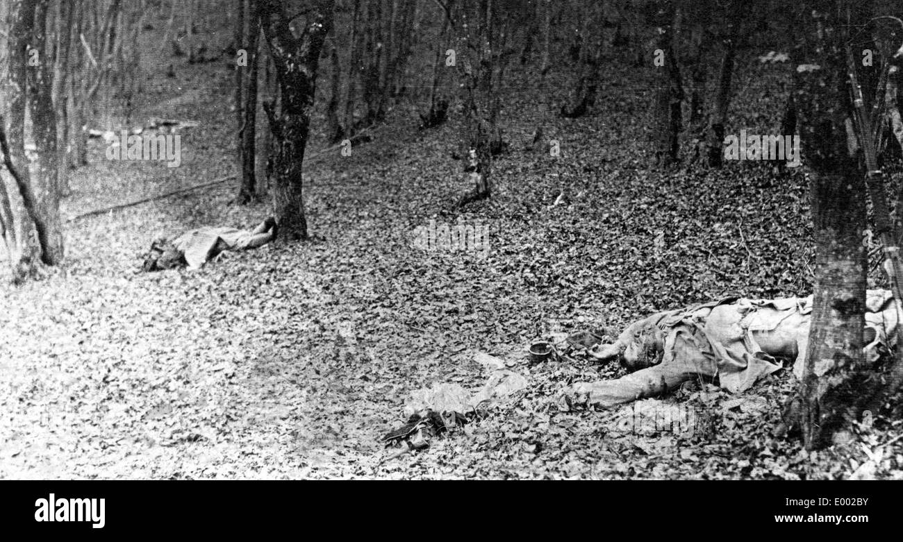 Ucciso soldati russi, 1914 Foto Stock