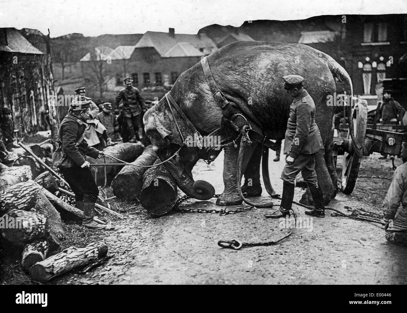 Lavorare l'elefante nella I guerra mondiale ad Amburgo, 1915 Foto Stock