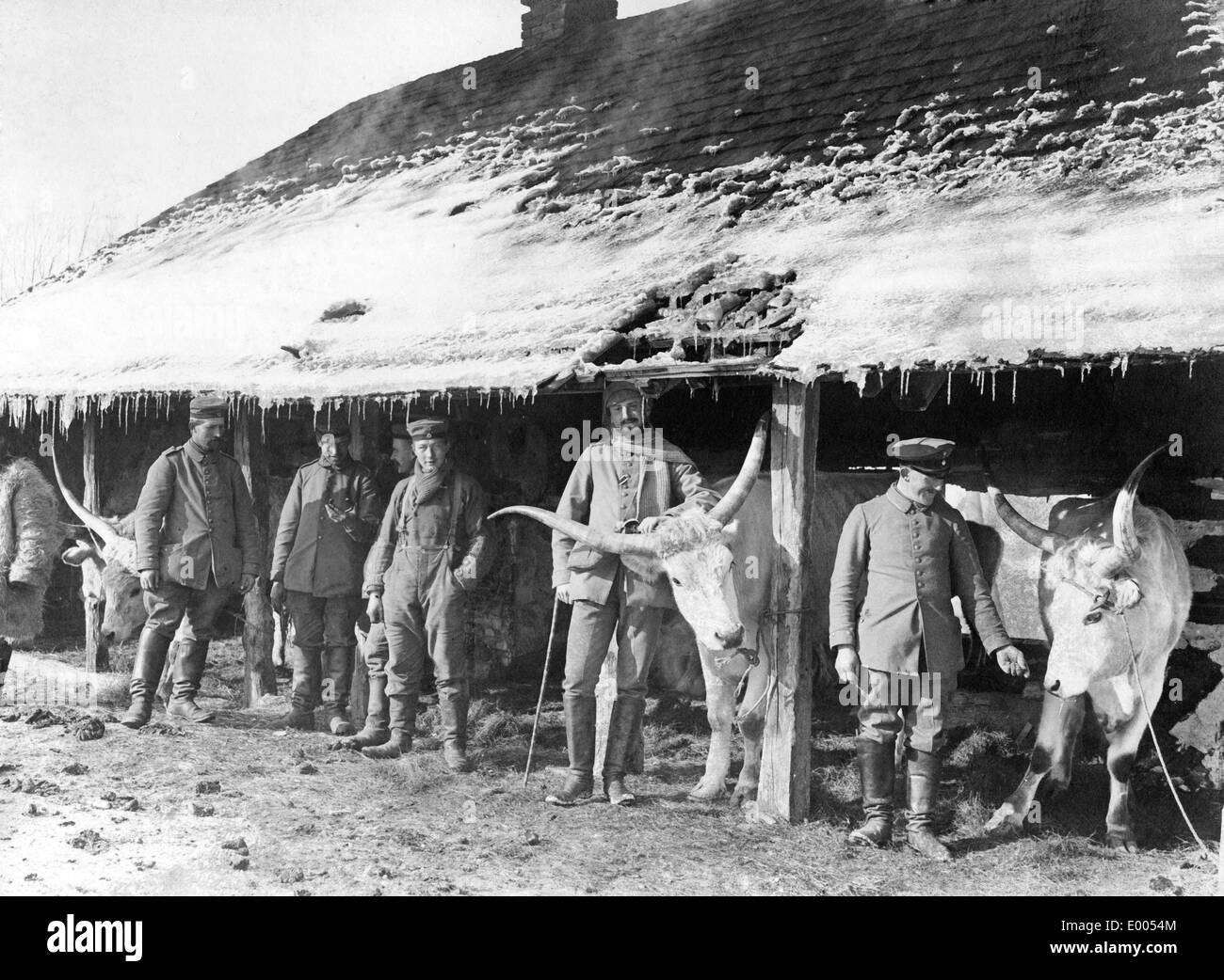 Truppe tedesche in un villaggio dei Carpazi, 1915 Foto Stock Truppe tedesche in un villaggio dei Carpazi, 1915 Foto Stock