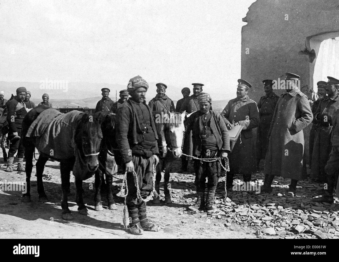 Il bulgaro assunzione di cavalli in Macedonia, 1916 Foto Stock