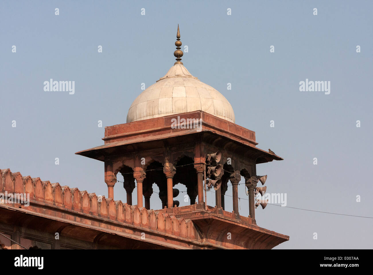New Delhi, India. Chhatri della Jama Masjid (Moschea del Venerdì). Foto Stock