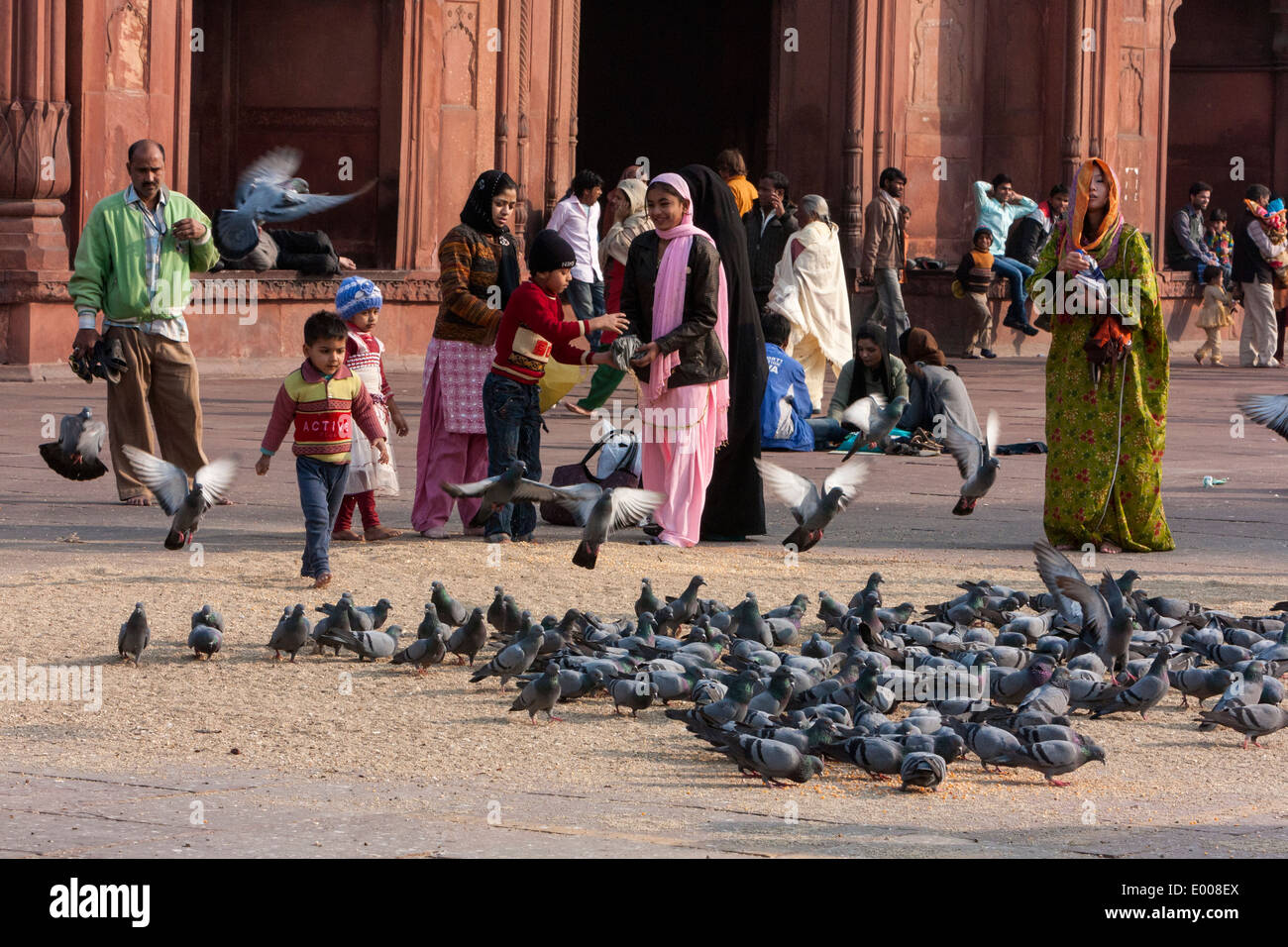 New Delhi, India. Musulmani piccioni di alimentazione mentre è in attesa per le preghiere del pomeriggio nel cortile della Jama Masjid (Moschea del Venerdì). Foto Stock