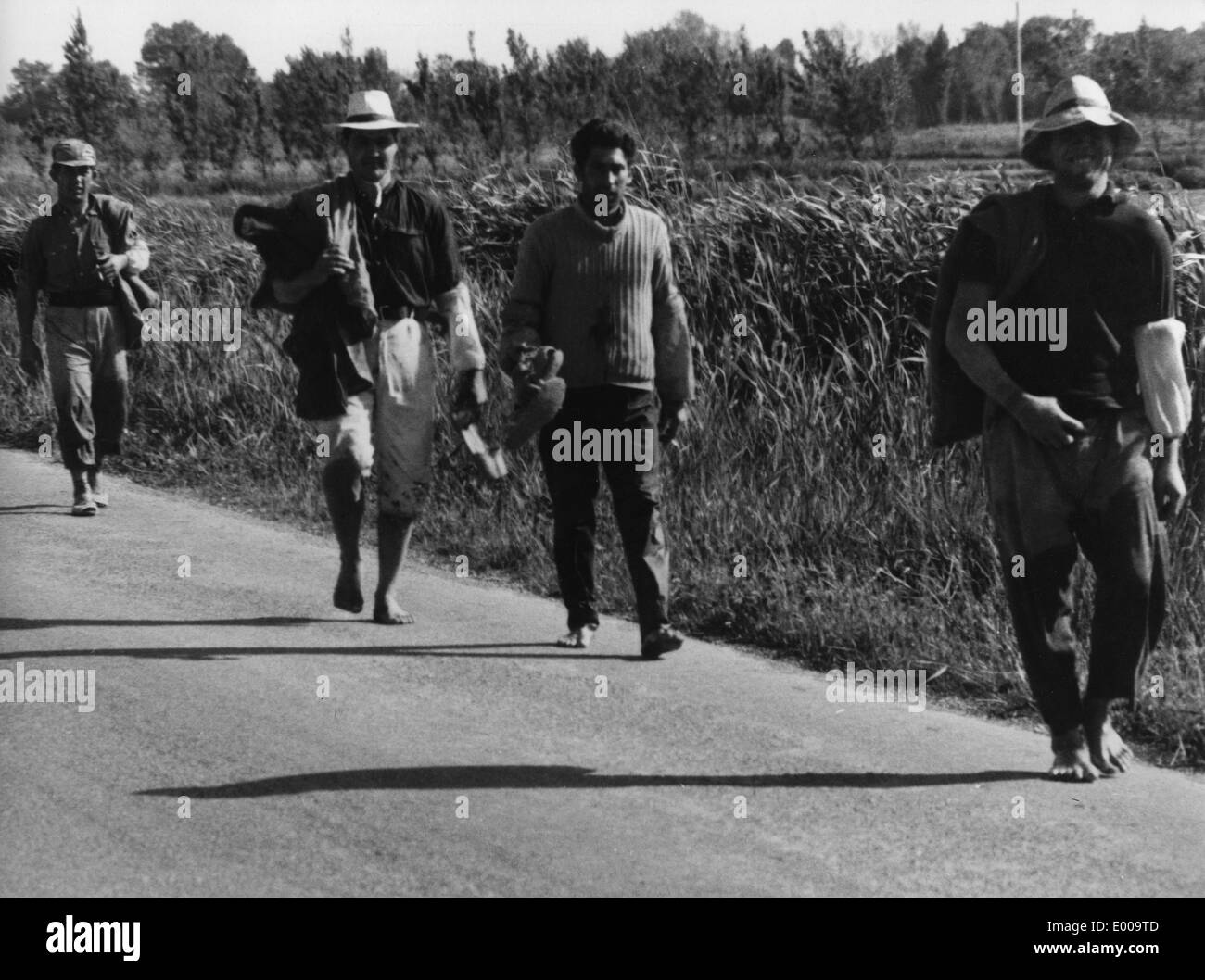 Le piantatrici di riso nella Camargue Foto Stock