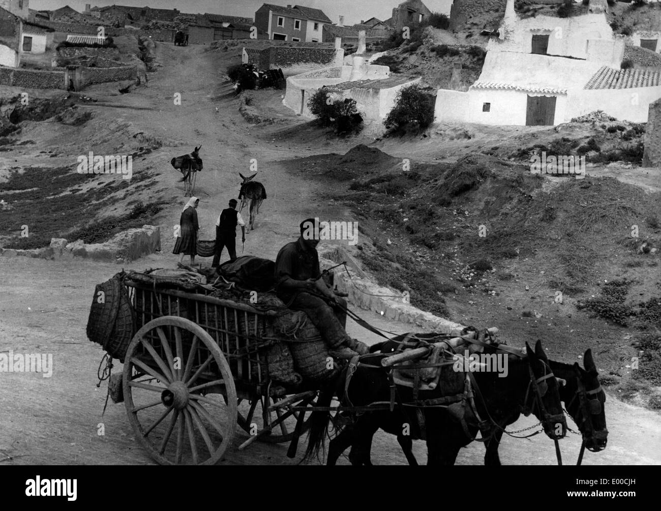 Cavallo e il carrello in un villaggio in Spagna centrale Foto Stock