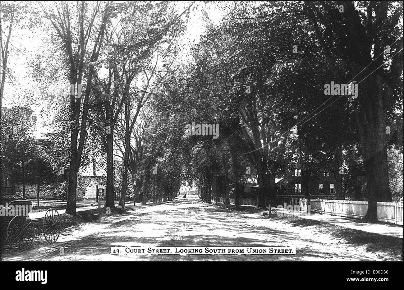 Questa fotografia storica cattura Court Street a Keene, New Hampshire, da Union Street, con edifici, recinzioni, e case che definiscono l'area. L'immagine mostra anche una carrozza trainata da cavalli, che offre uno sguardo sulla vita quotidiana di questa città del New England durante il XIX secolo. Foto Stock