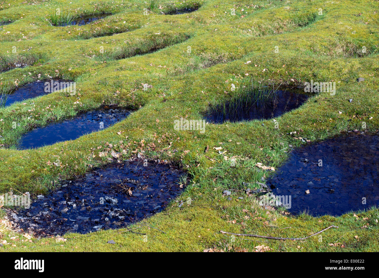 Box difensivo o lilia accanto al Antonine Wall a Rough Castle, Bonnybridge, Falkirk, Scotland, Regno Unito. Foto Stock