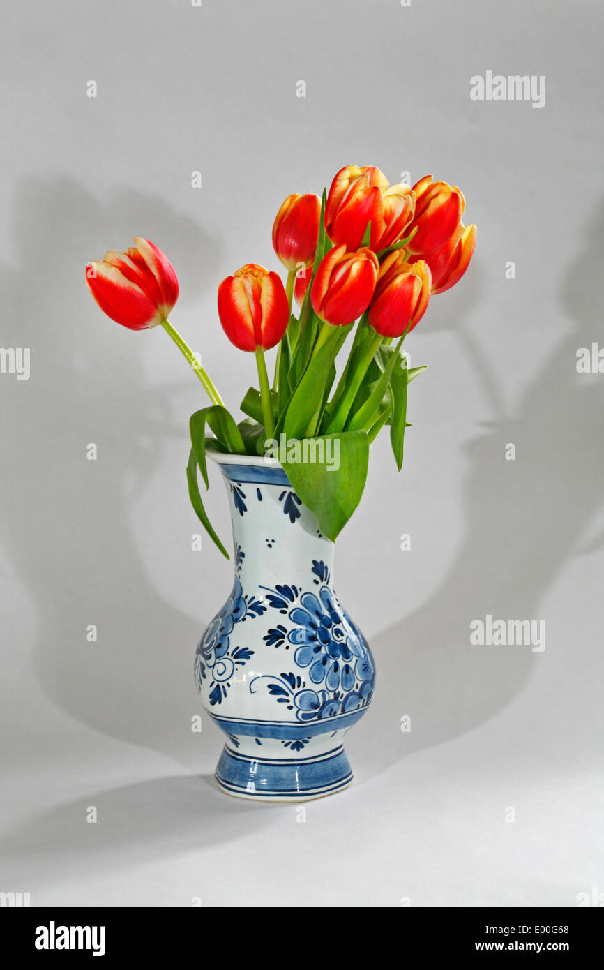 Rosso e giallo tulipani Olandesi in bianco e blu di Delft olandese vaso di ceramica Foto Stock