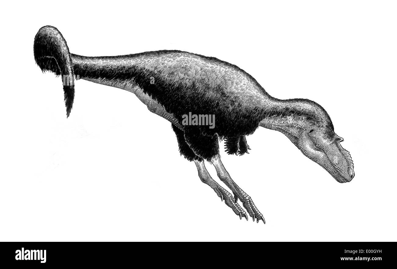 Inchiostro nero di disegno Gorgosaurus libratus. Foto Stock