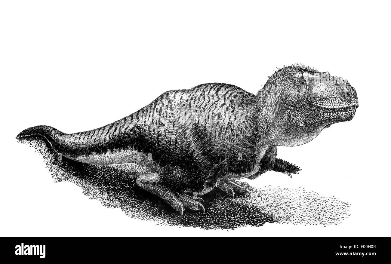 Inchiostro nero di disegno Tarbosaurus bataar. Foto Stock