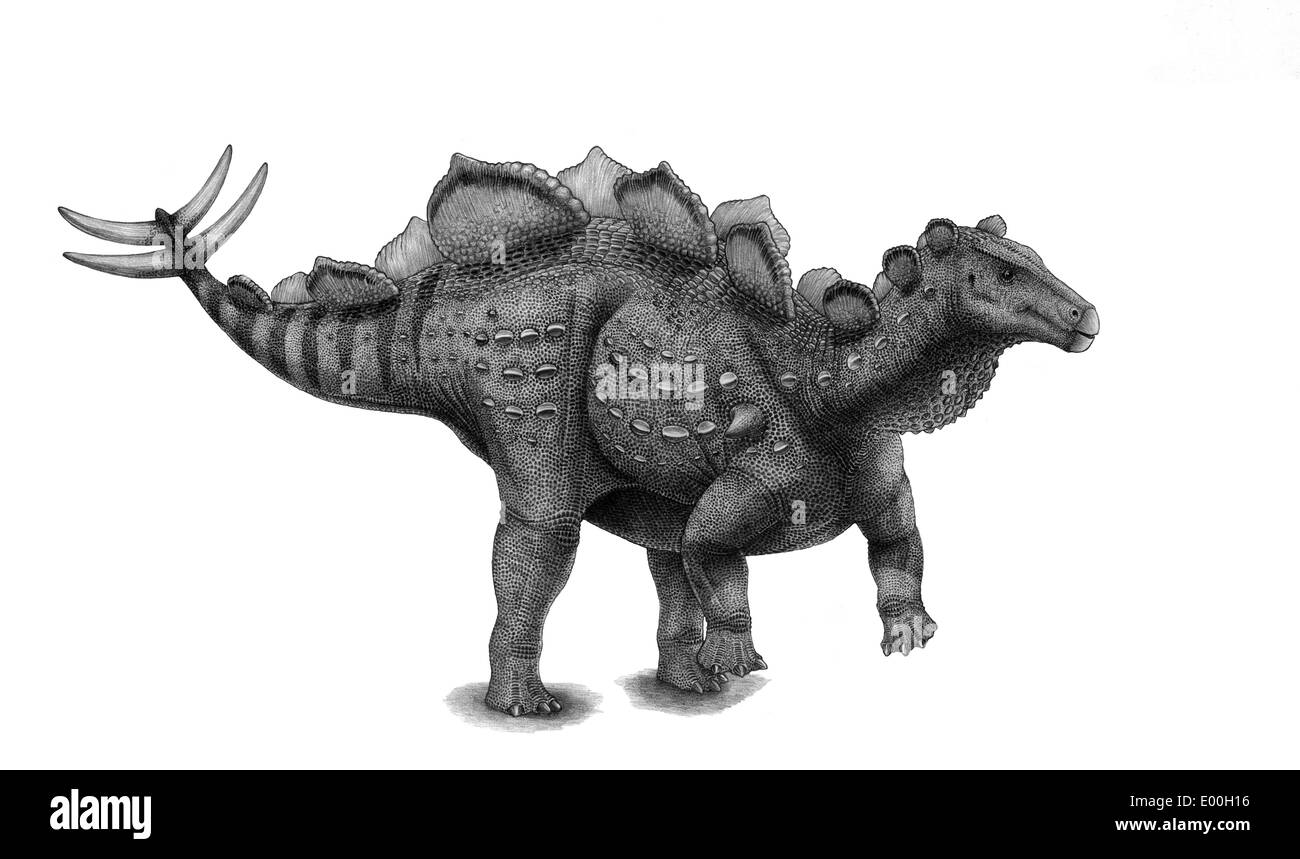 Disegno a matita di Wuerhosaurus homheni in piedi sulle zampe posteriori. Foto Stock