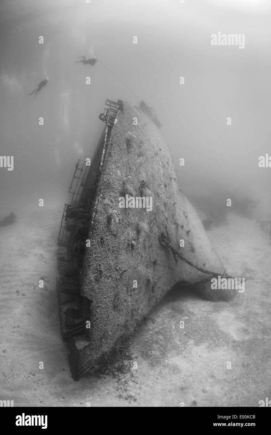 I subacquei intorno al relitto Odyssey off Roatan, Honduras. Foto Stock
