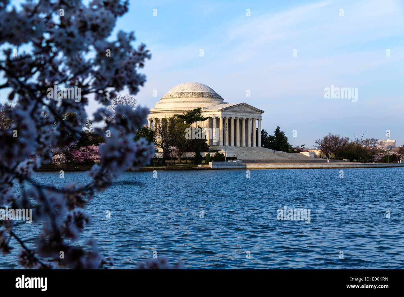 Washington DC USA Thomas Jefferson Memorial con ciliegi in fiore intorno al bacino di marea Foto Stock