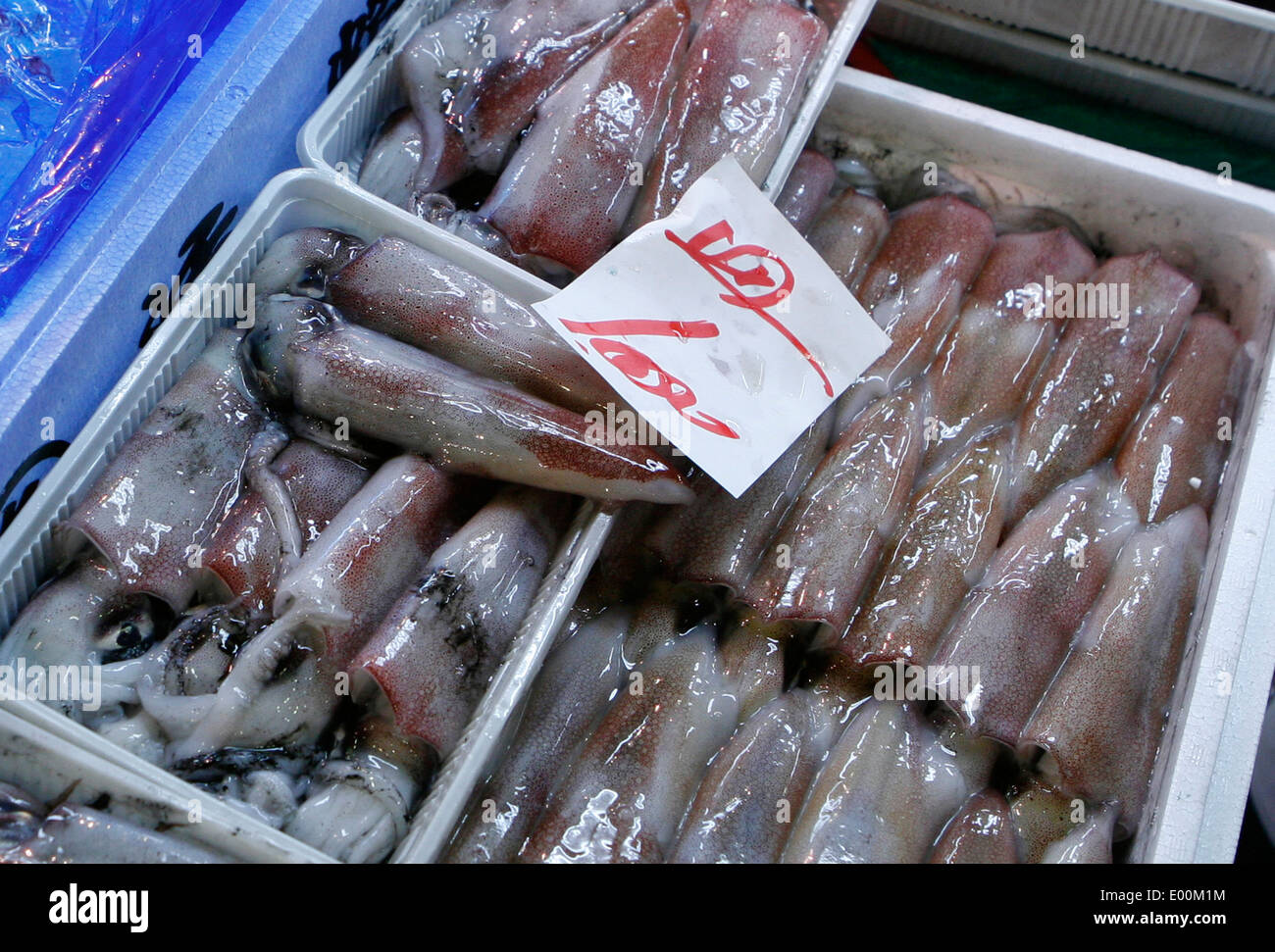 La Tokyo Metropolitan Central Wholesale Market, comunemente noto come il mercato Tsukiji Foto Stock