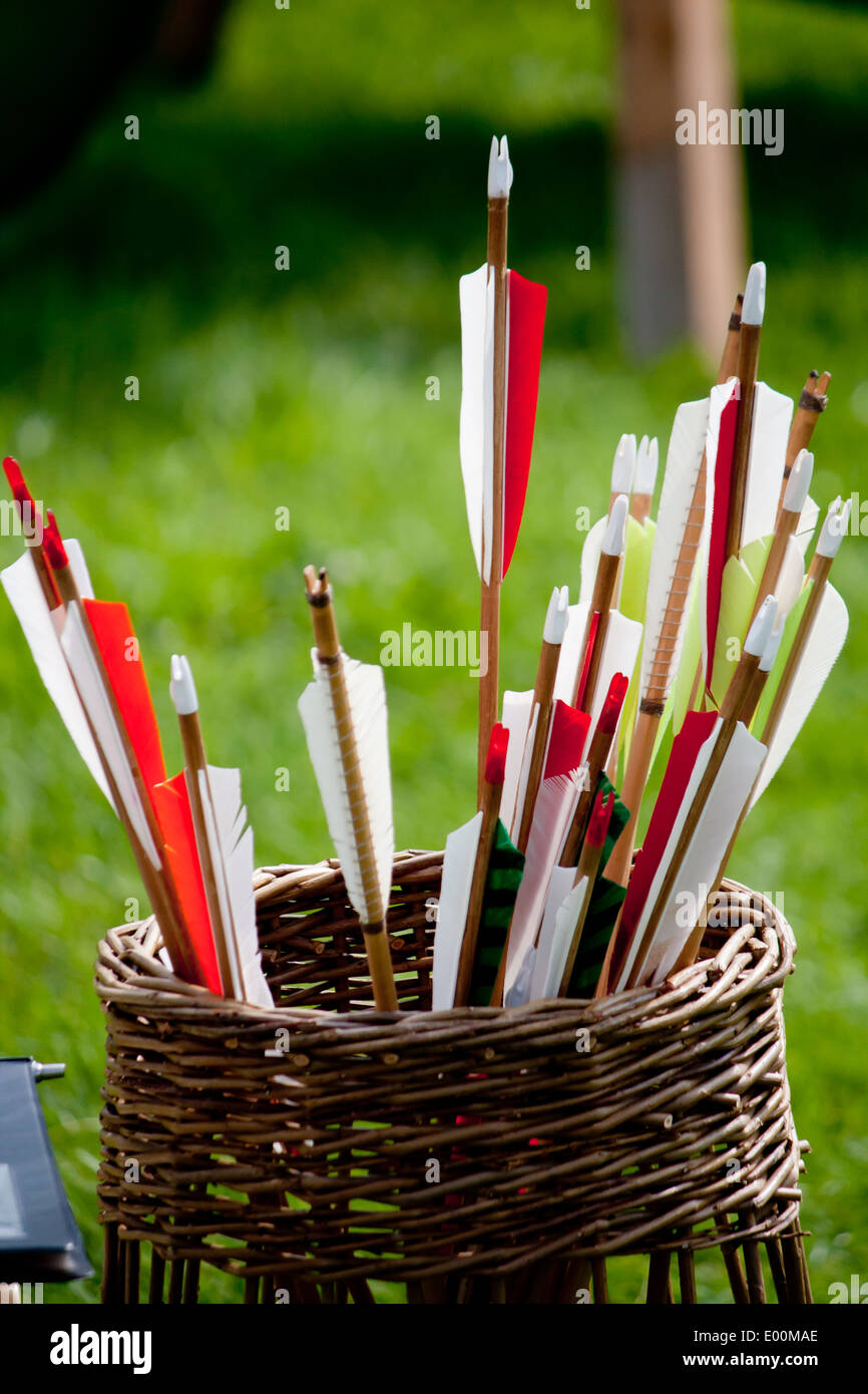 Frecce in un cestello che mostra le quattro piuma fletchings Foto Stock