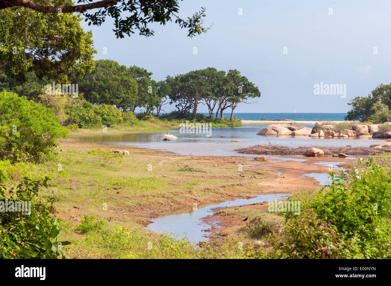 Vista oceano dal Yala National Park in Sri Lanka. Foto Stock