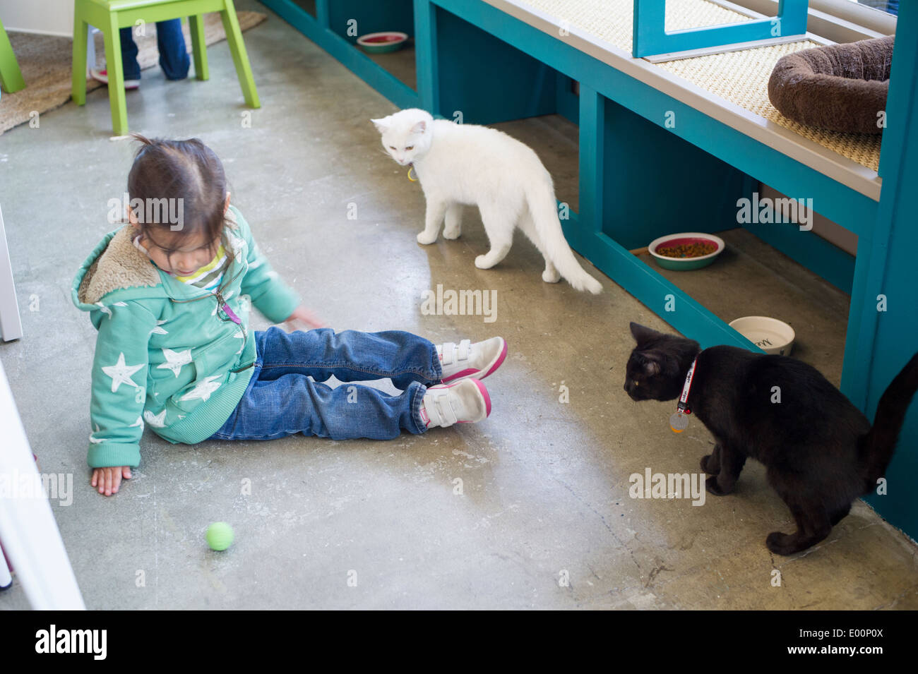 Amanti del gatto provengono da vicino e da lontano per la Cat Cafe on the Bowery a New York il suo giorno di inaugurazione Foto Stock