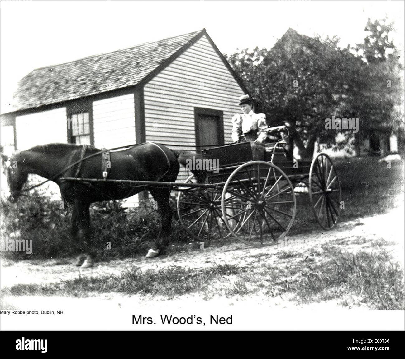 Immagine storica di un cavallo e buggy a Dublino, New Hampshire, con la rappresentazione della vita quotidiana di Mary E. Robbe. La fotografia mostra una tipica scena rurale, che riflette la vita del New England del XIX secolo e l'architettura vernacolare. Foto Stock