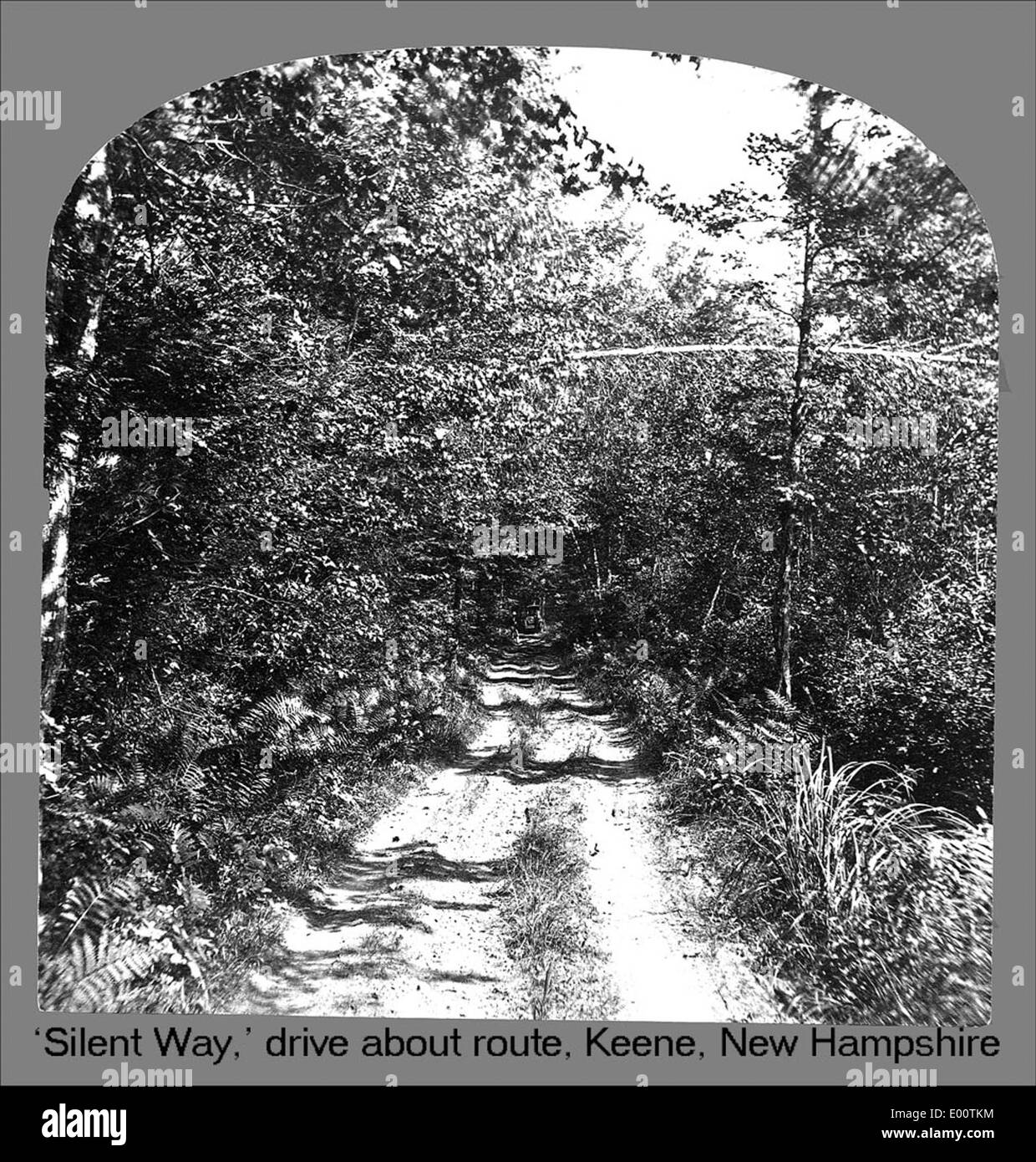 Questa immagine cattura la tranquilla "Silent Way" a Keene, New Hampshire, mostrando il tranquillo paesaggio della foresta con alberi e una strada rurale. Fotografato da J.A. French, mette in risalto la tranquilla bellezza naturale della zona. Foto Stock