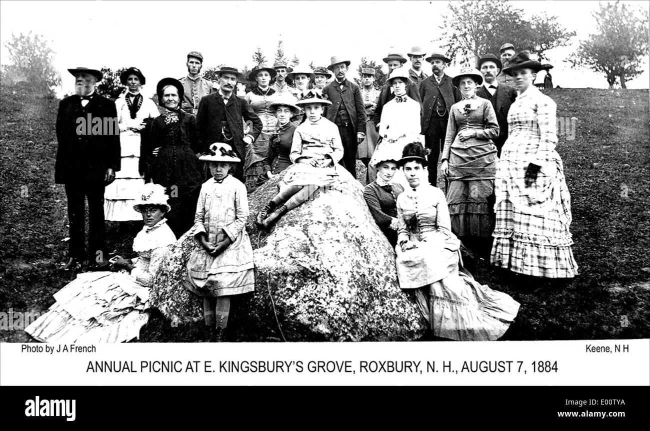 Picnic in Roxbury, New Hampshire Foto Stock