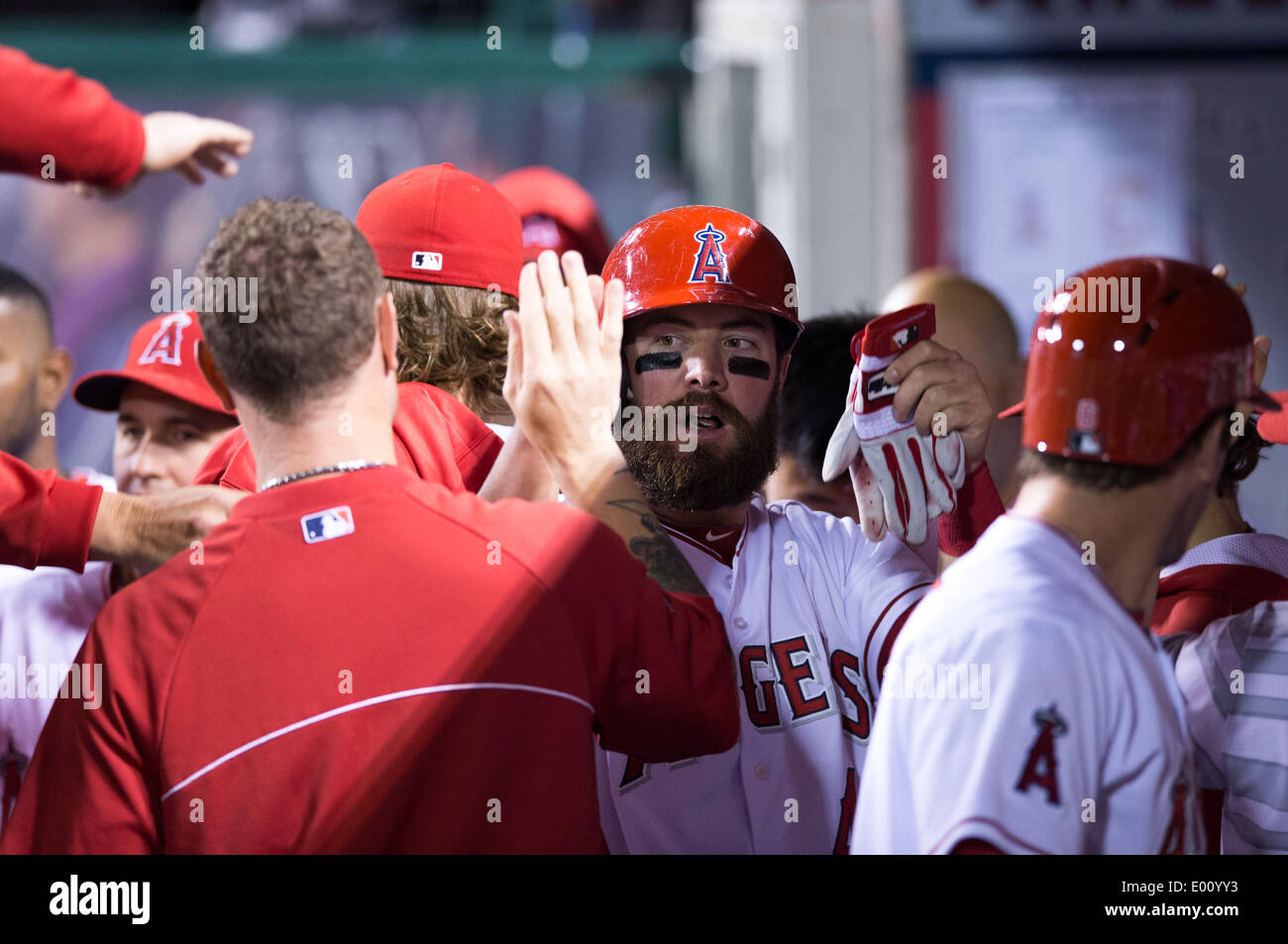 Anaheim, CA, Stati Uniti d'America. 28 apr 2014. Aprile 28, 2014 - Anaheim, CA, Stati Uniti d'America - Los Angeles Angeli primo baseman Ian Stewart (44) celebra con i suoi compagni di squadra dopo aver segnato un punto durante il gioco MLB tra Cleveland Indians e Los Angeles Angeli alla Angels Stadium di Anaheim, CA. Credito: csm/Alamy Live News Foto Stock