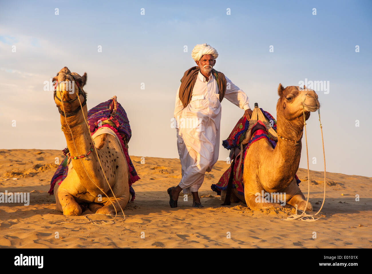 Cameleer e la sua mandria al Sam duna di sabbia Foto Stock