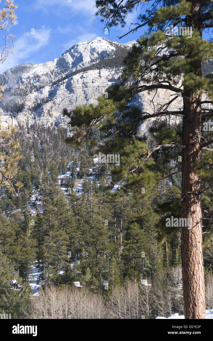 Las Vegas Sci e Snowboard Resort, Mt Charleston, vicino a Las Vegas, Nevada, Stati Uniti Foto Stock