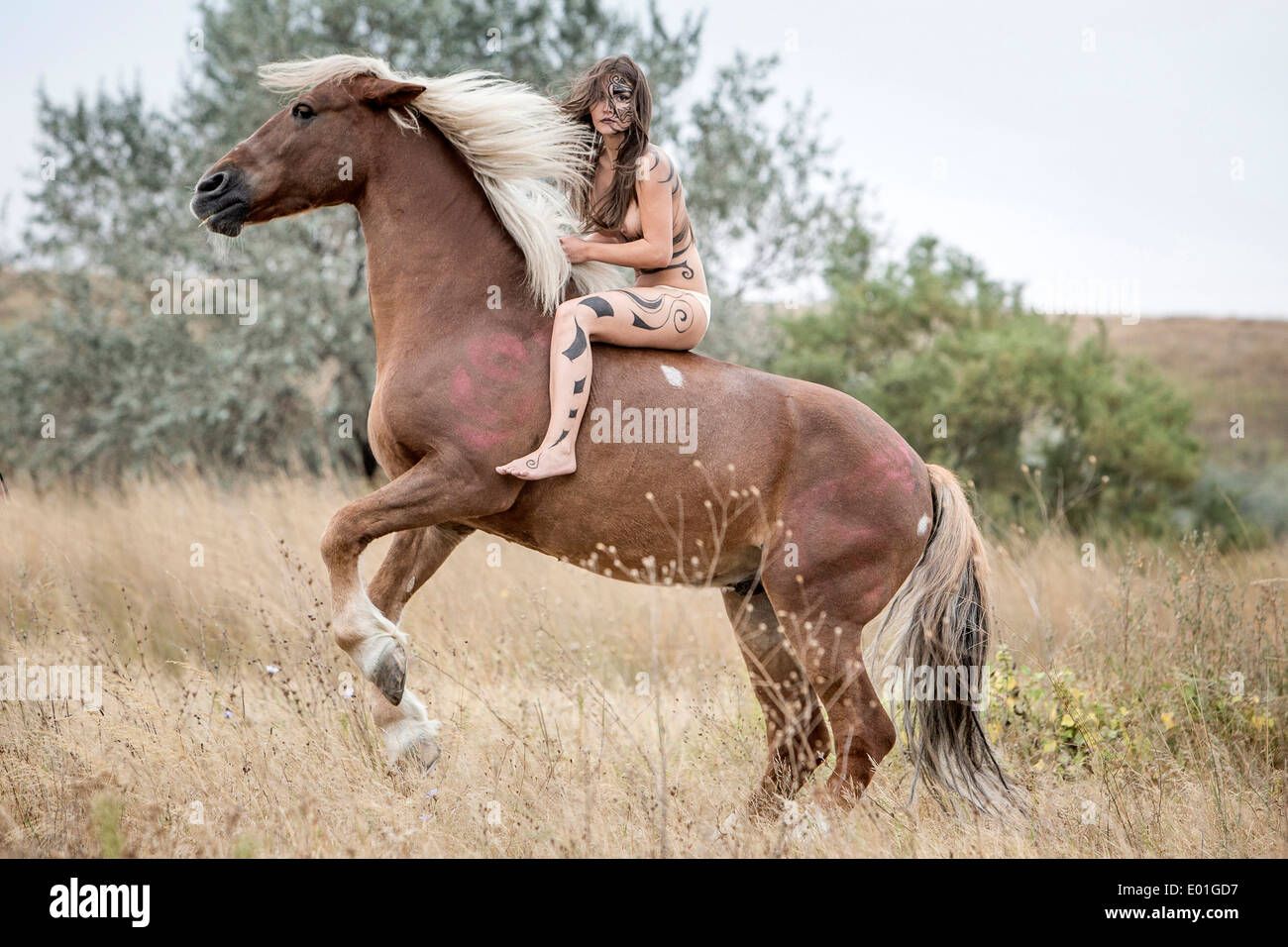 Amazon horse immagini e fotografie stock ad alta risoluzione - Alamy