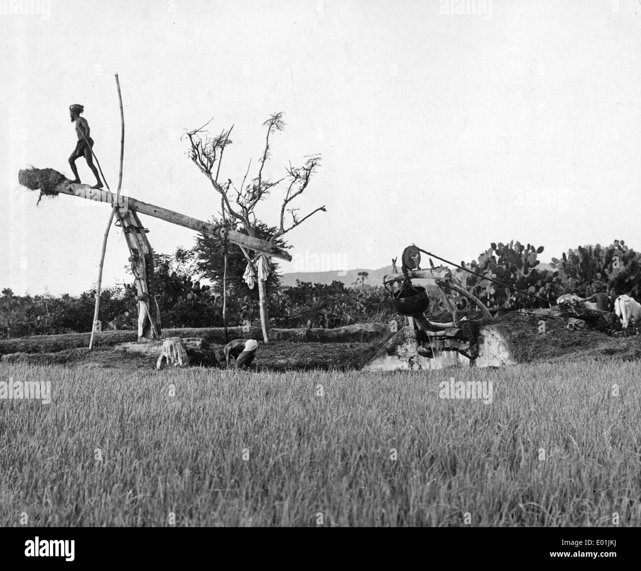Pompa di irrigazione in India, 1930 Foto Stock