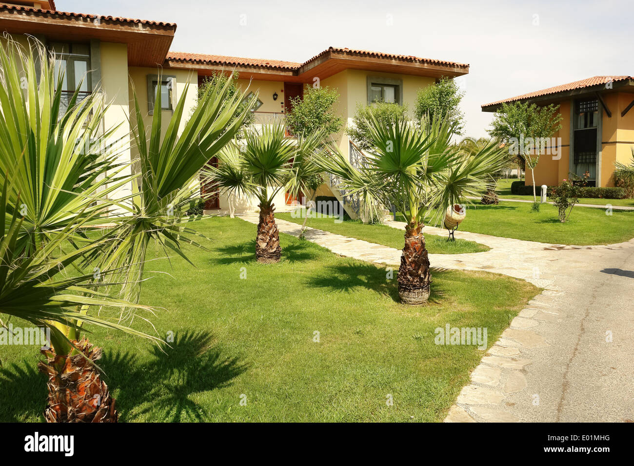 Le palme e i bungalow e villa in hotel di alta classe della Turchia. Foto Stock