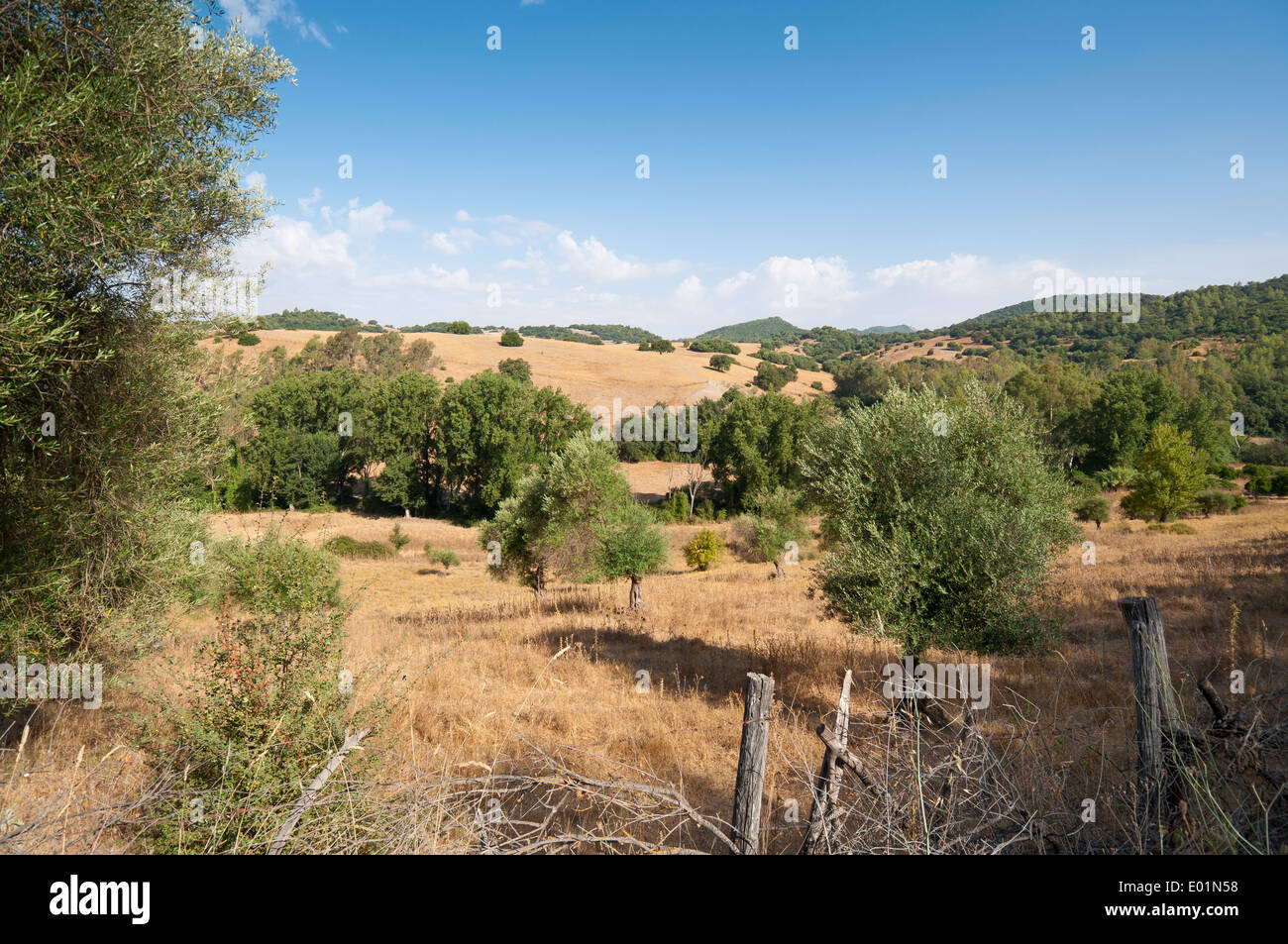 Viste della campagna andalusa da El Bosque town, Cadiz, Spagna Foto Stock