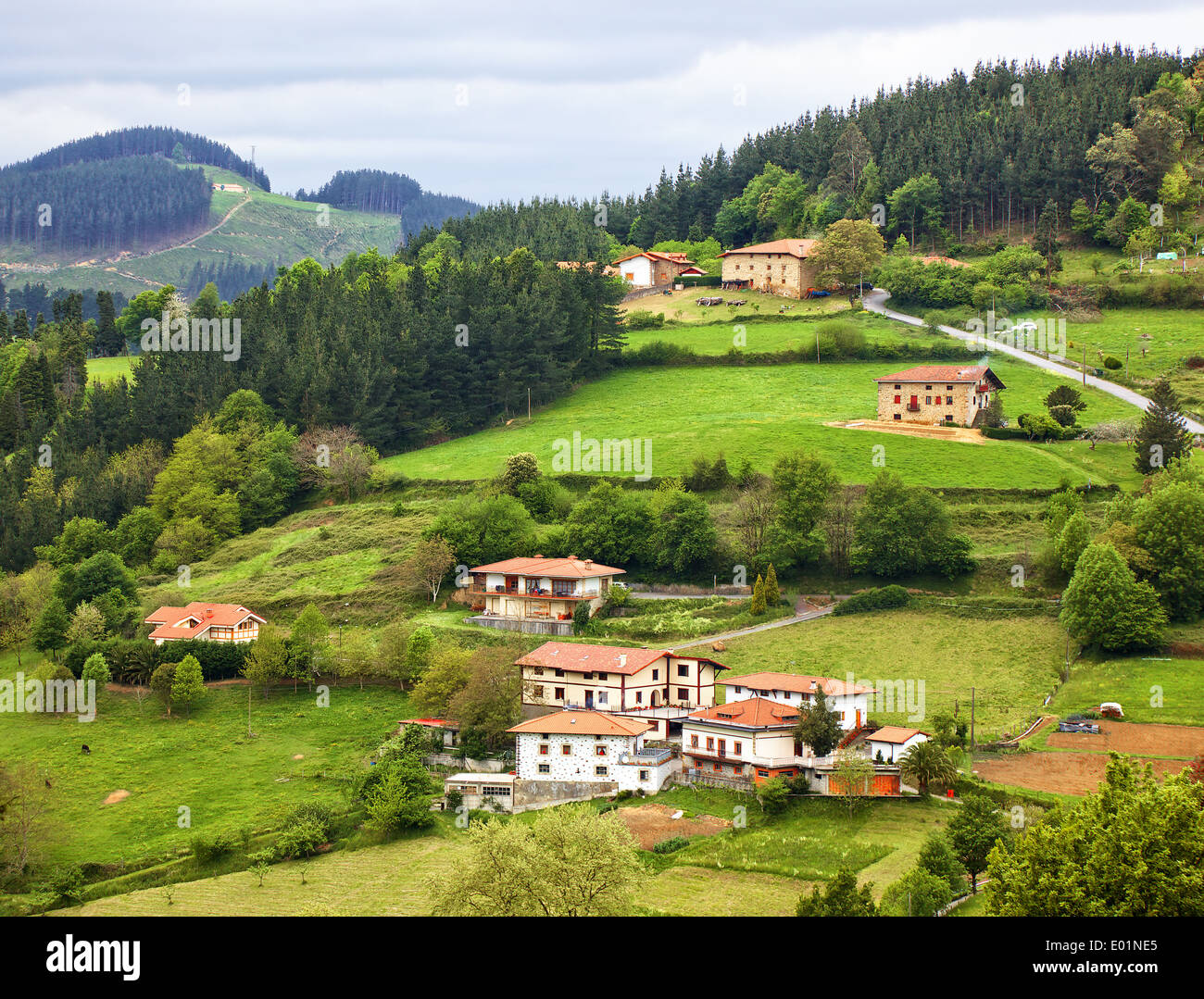 Aziende agricole a valle Arratia Foto Stock