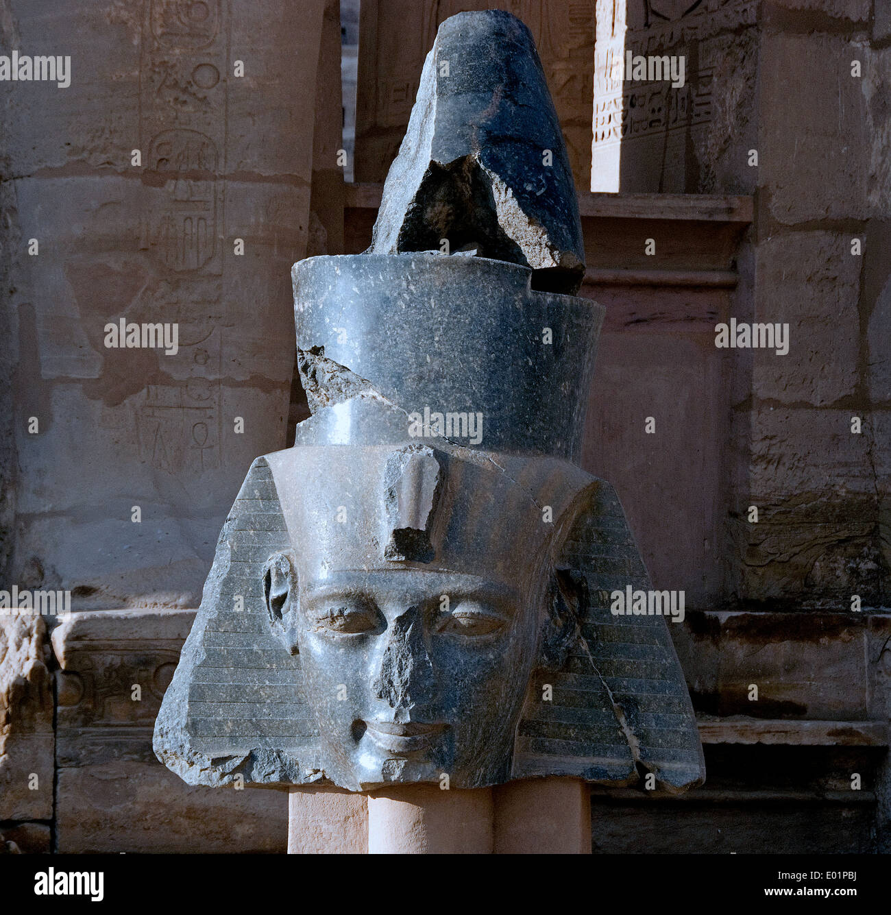 Ramesseum : il tempio funerario del faraone Ramses II il Grande(1303-1213 A.C. XIX dyn.). La testa colossale del re. Foto Stock