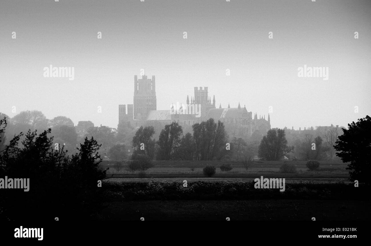 Cattedrale di Ely è la principale chiesa della diocesi di Ely, in Cambridgeshire, Inghilterra Foto Stock