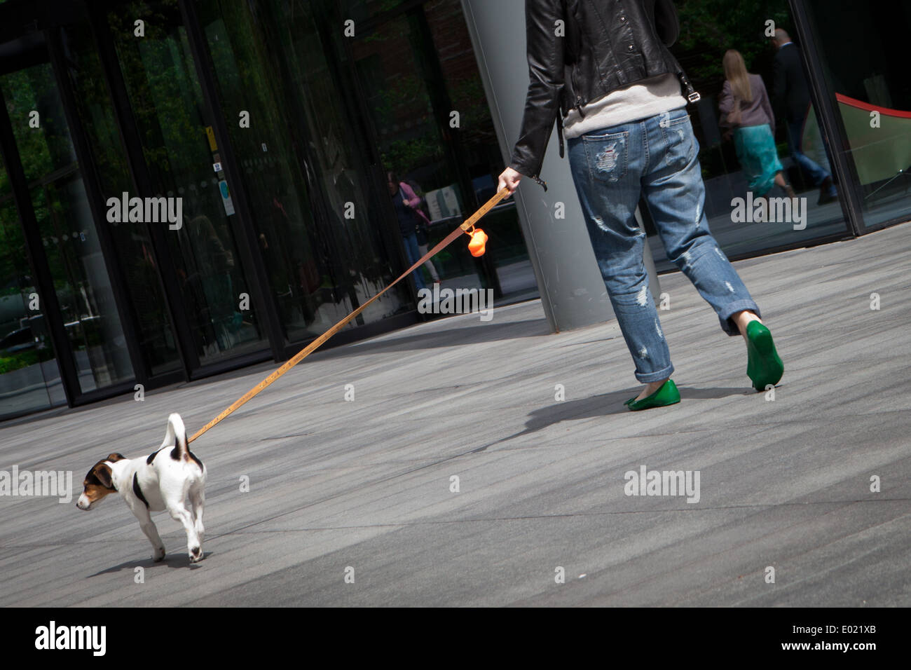 La donna a piedi un cane in una città Foto Stock