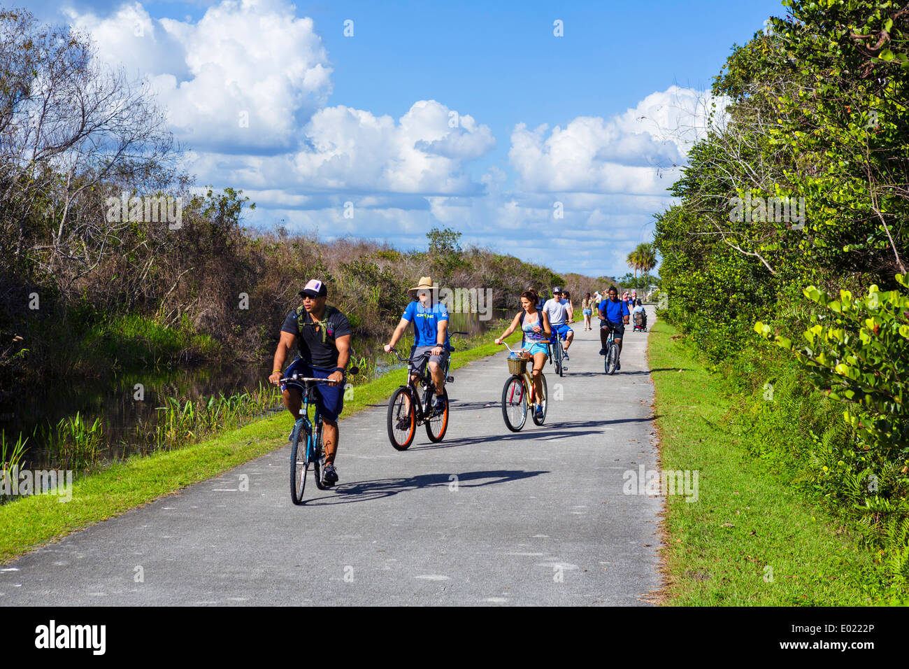 I ciclisti sulla valle di squalo loop road, Everglades National Park, Florida, Stati Uniti d'America Foto Stock