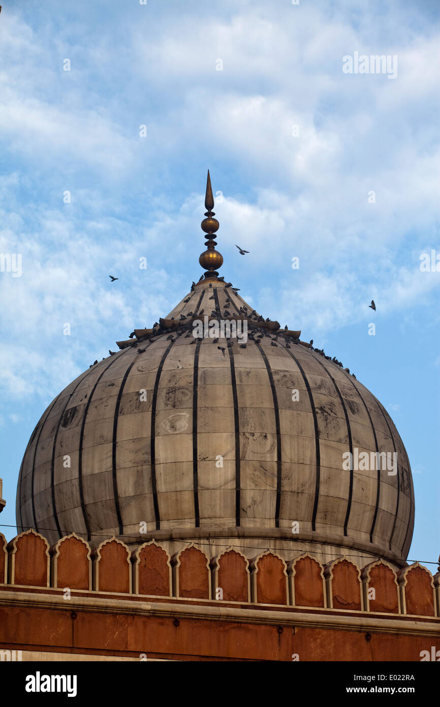 Un dettaglio di una cupola al Jama Masjid (la Moschea del Venerdì), la Vecchia Delhi, India Foto Stock