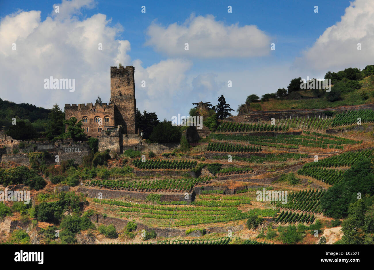 Il castello di gutenfels, aka caub castello, si siede in cima alla città di kaub, Germania Foto Stock