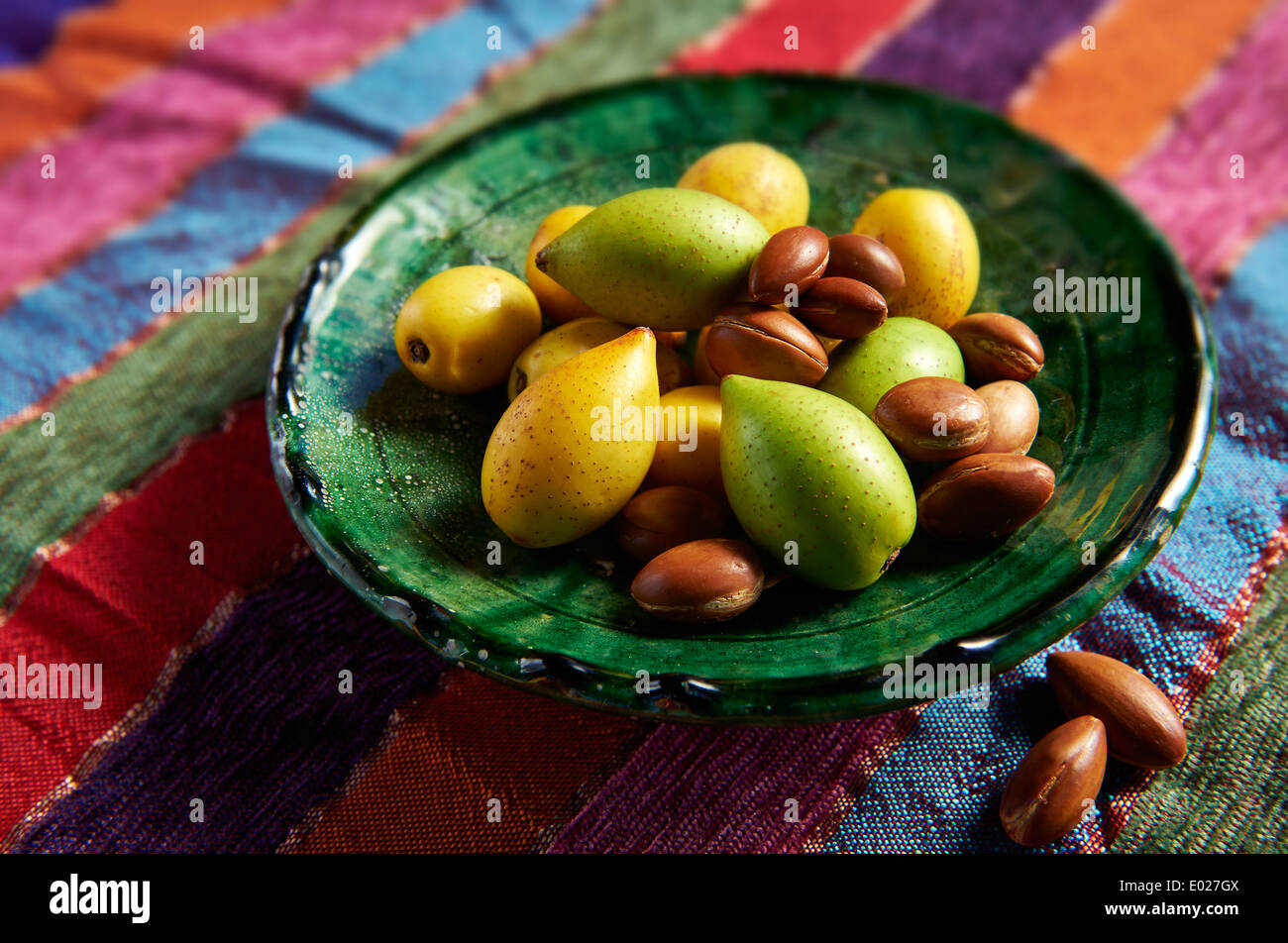 Fresca dadi Argan (Argania spinosa, pelati e non pelati Foto Stock