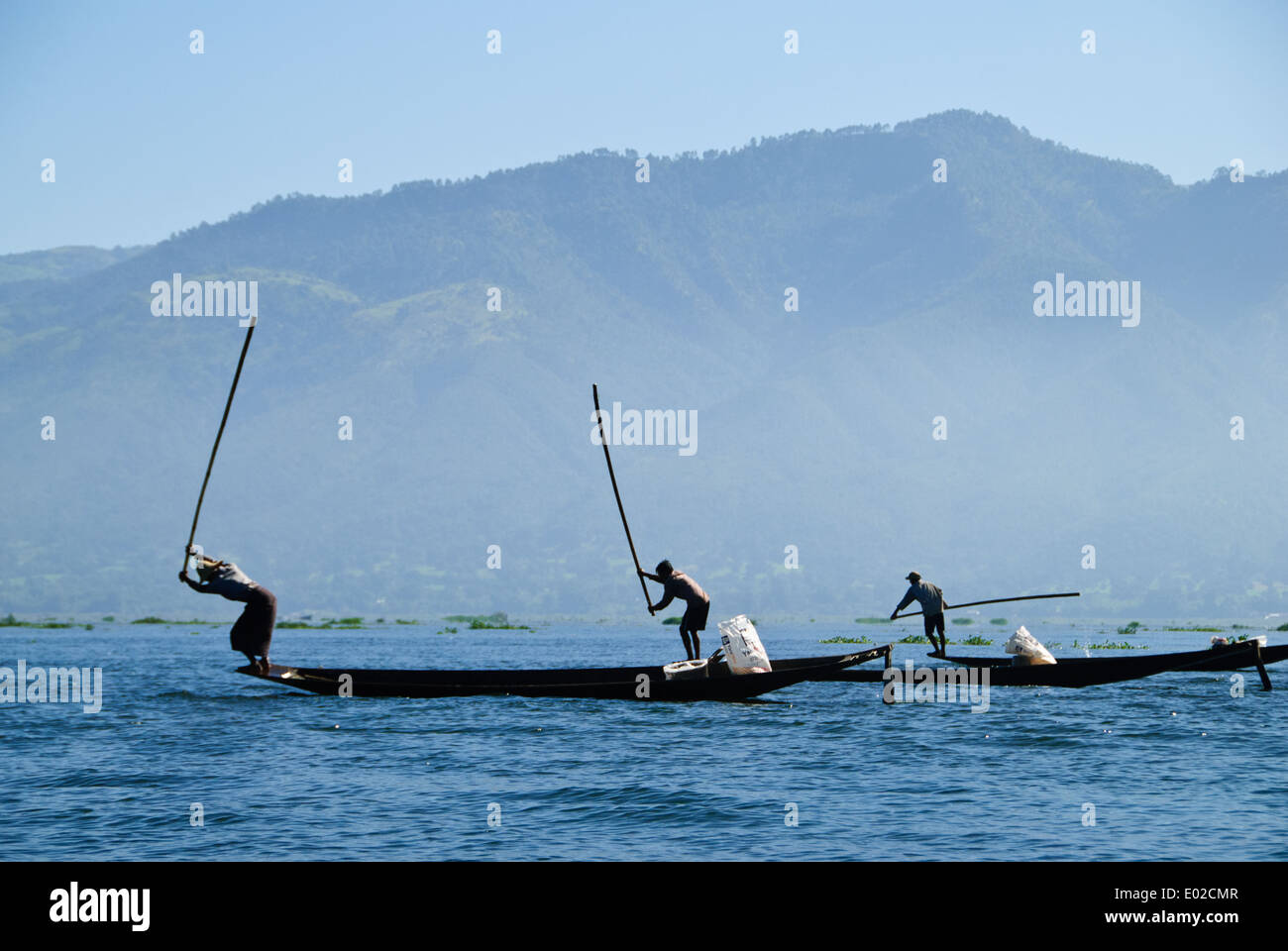 Intha gli abitanti di un villaggio del Lago Inle colpendo l'acqua come una parte della loro tecnica di pesca. Foto Stock
